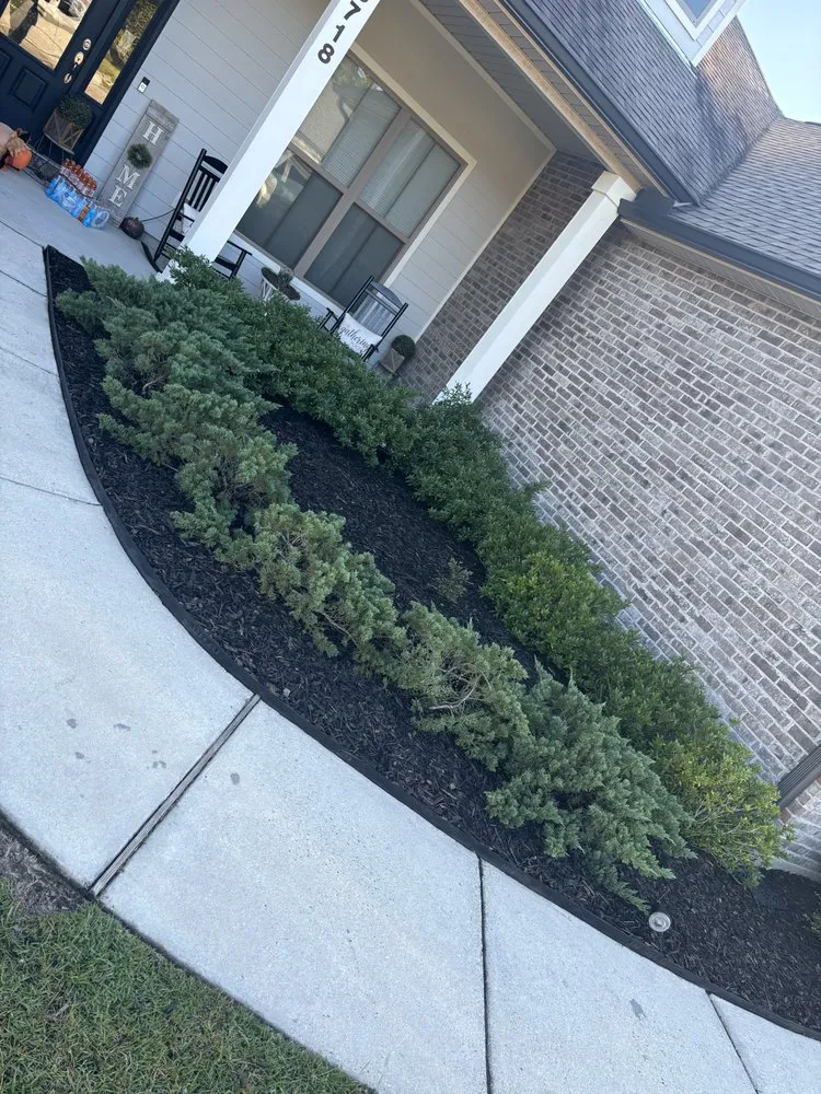 Reliable yard maintenance in Carriere, MS by M&B's Lawncare