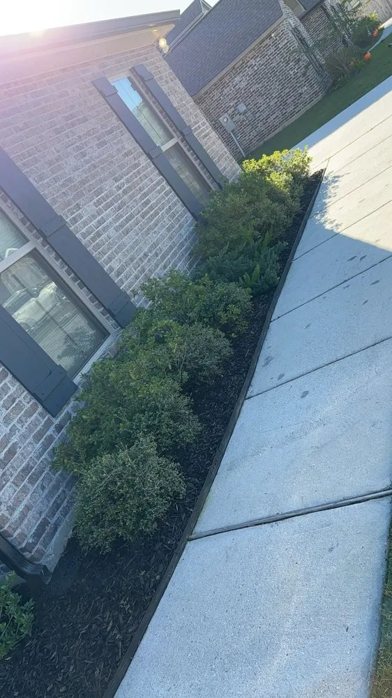 Top-rated lawn care service experts serving Carriere, MS - M&B's Lawncare