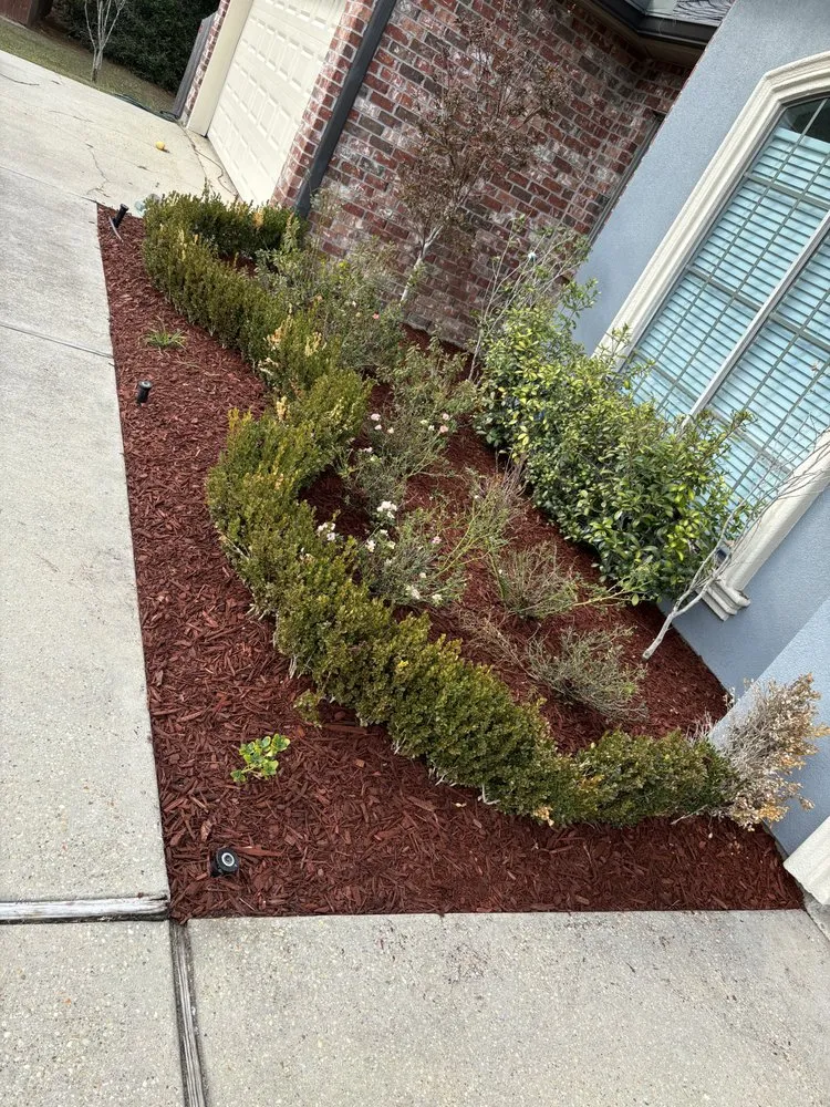 Custom yard maintenance experts serving Carriere, MS - M&B's Lawncare