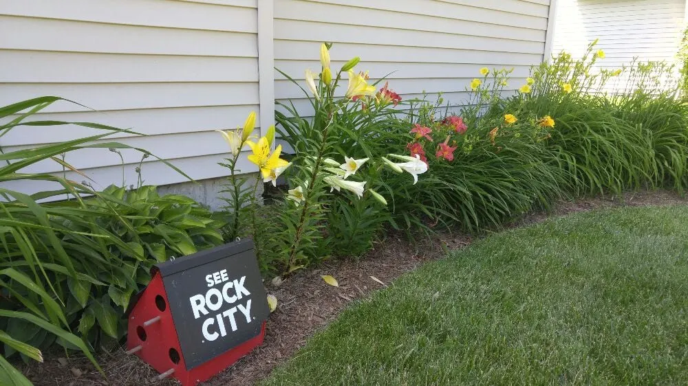 Custom lawn mowing service experts serving Dekalb, IL - Mbt Lawn Care