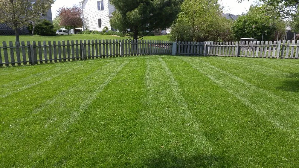 Trusted yard maintenance in Dekalb, IL by Mbt Lawn Care