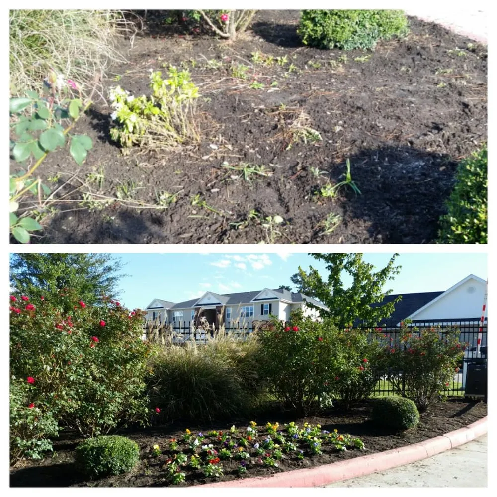 Top-rated outdoor landscaping for homes across Huntsville, TX - MBT Lawn Specialist