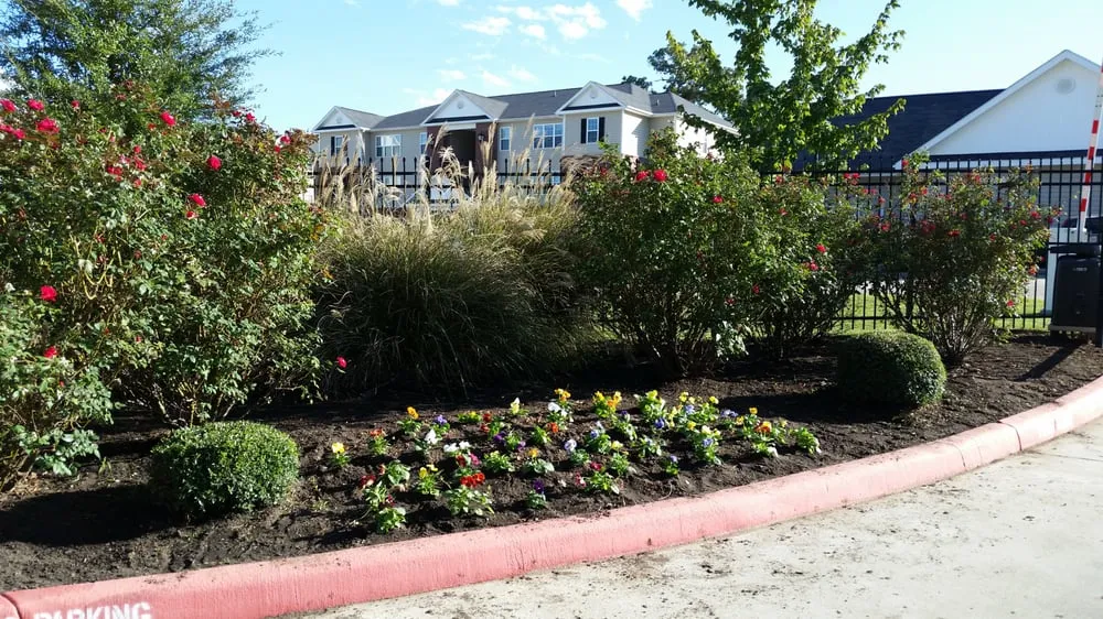 Expert landscaping services in Huntsville, TX - MBT Lawn Specialist