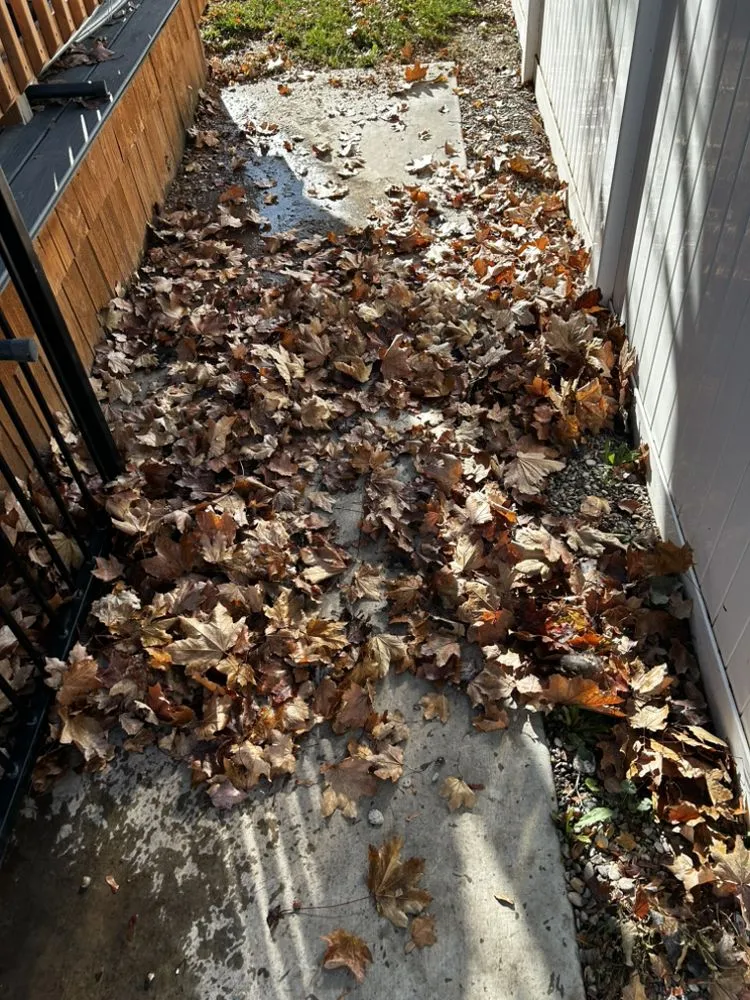 Local landscape design experts serving Spanish Fork, UT - MB&TB outdoor services