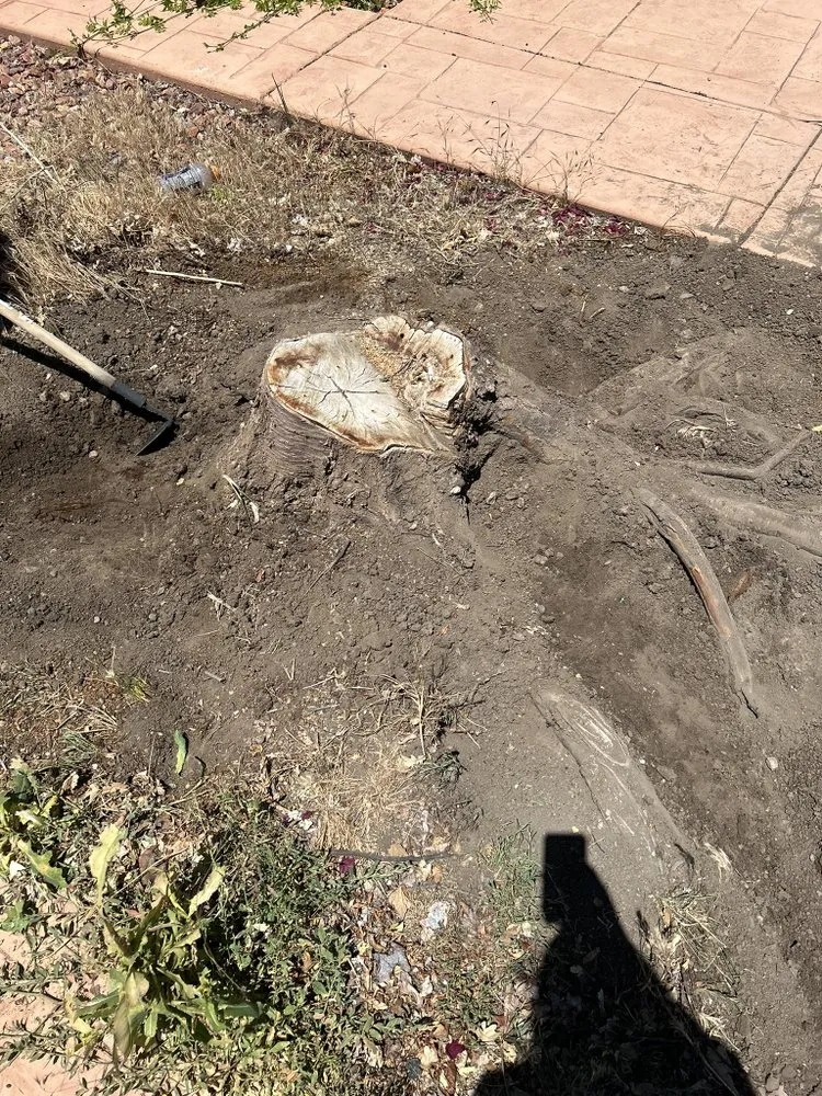 Custom outdoor landscaping for beautiful yards in Spanish Fork, UT by MB&TB outdoor services