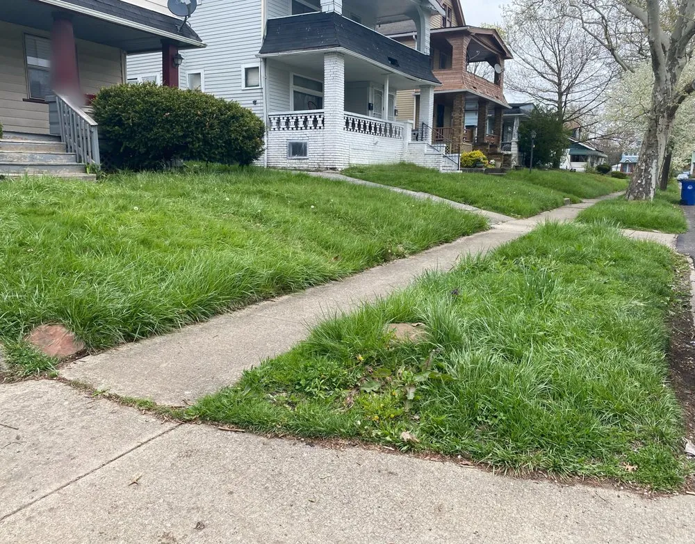 Local yard cleanup service in Cleveland, OH by MBTC landscaping