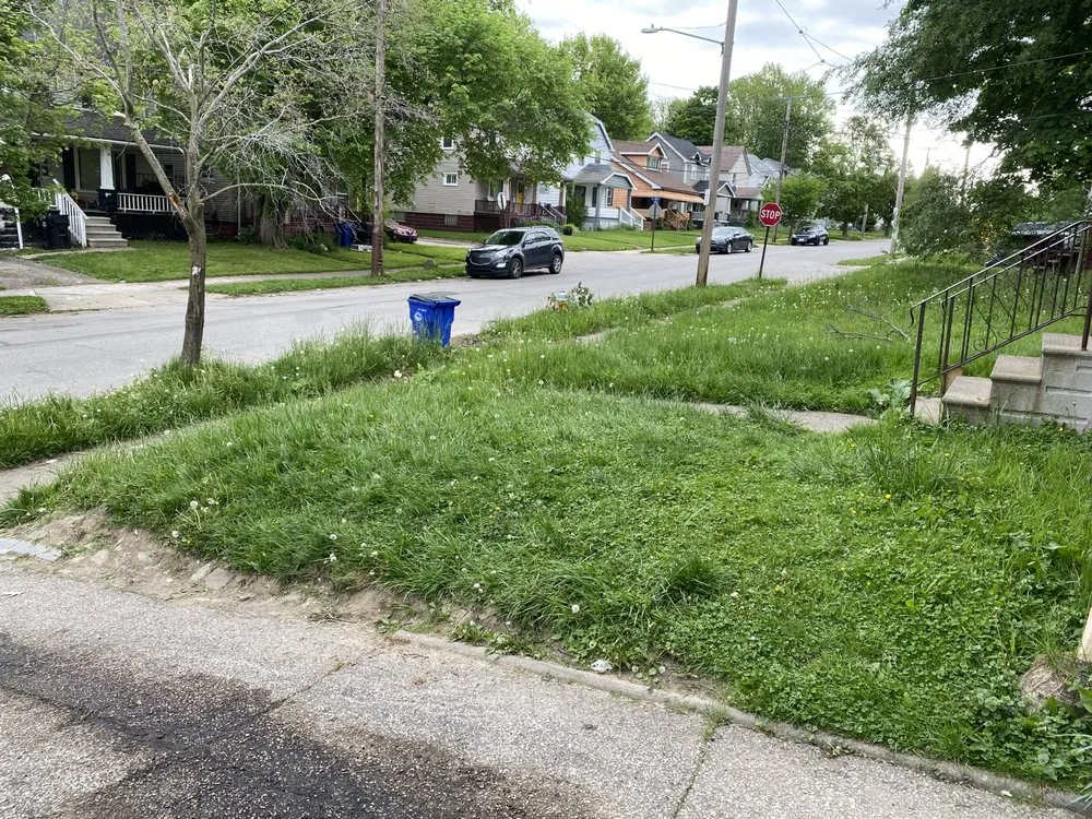 Expert yard cleanup service experts serving Cleveland, OH - MBTC landscaping