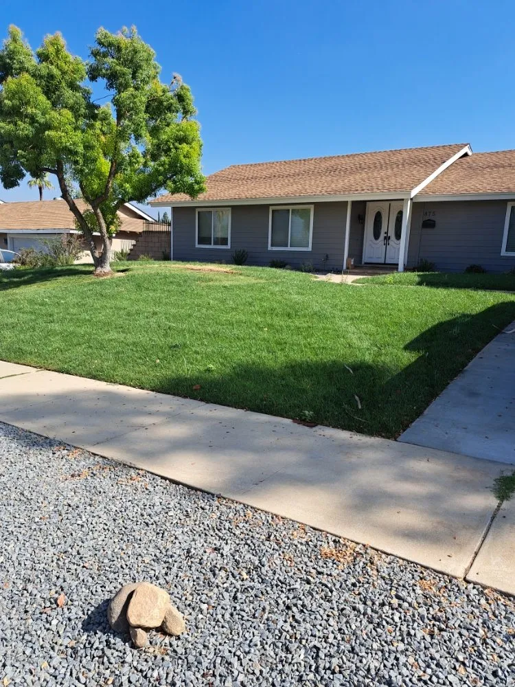 Top-rated yard cleanup service in Rancho Cucamonga, CA - Mc Cactus Fast Landscaping Designs