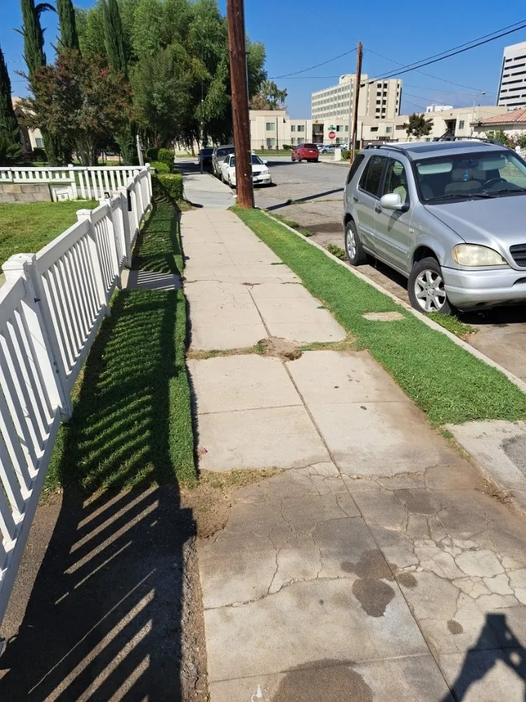 Professional yard cleanup service for year-round maintenance in Rancho Cucamonga, CA by Mc Cactus Fast Landscaping Designs