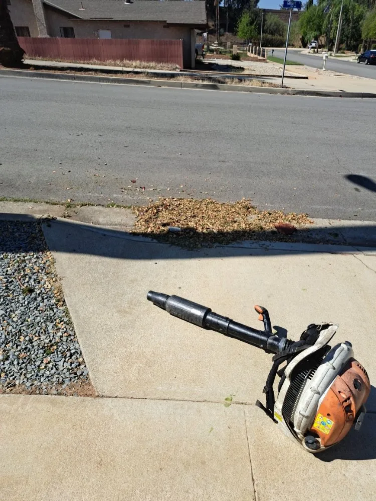 Local landscape installation in Rancho Cucamonga, CA - Mc Cactus Fast Landscaping Designs