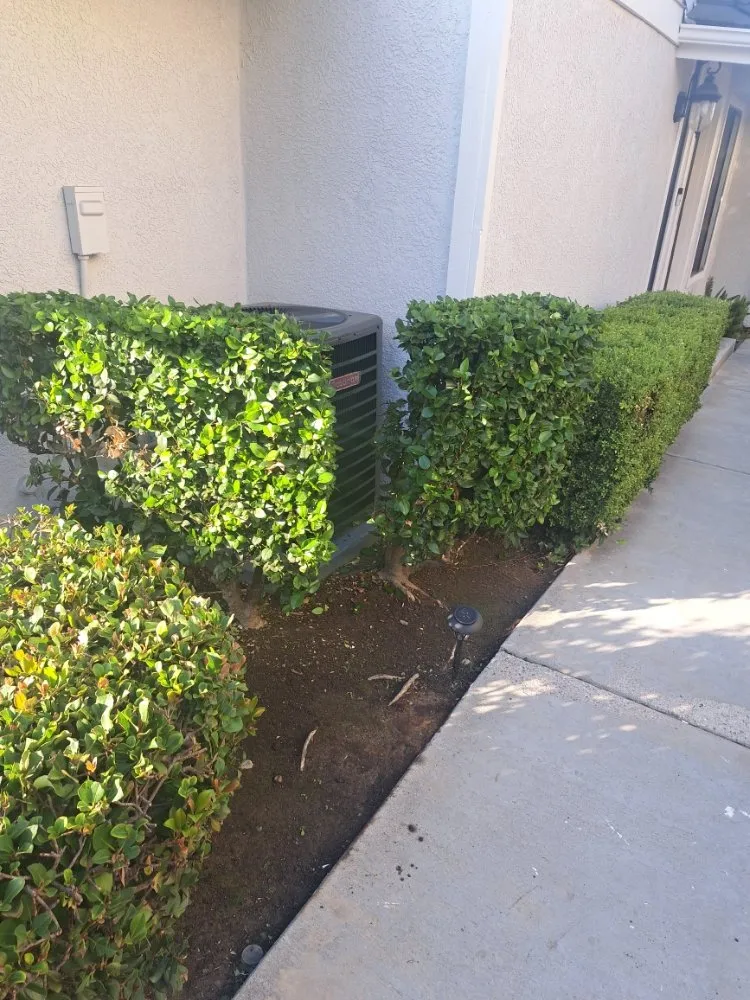 Top-rated outdoor landscaping with custom design across Rancho Cucamonga, CA - Mc Cactus Fast Landscaping Designs