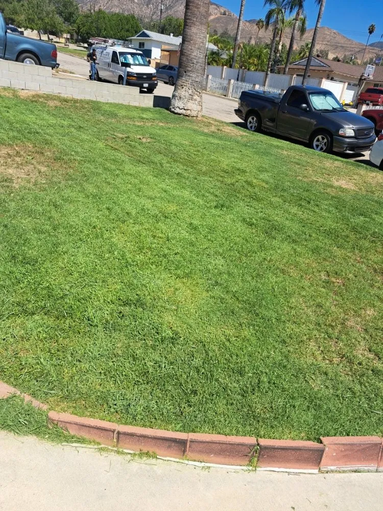 Expert garden landscaping in Rancho Cucamonga, CA by Mc Cactus Fast Landscaping Designs