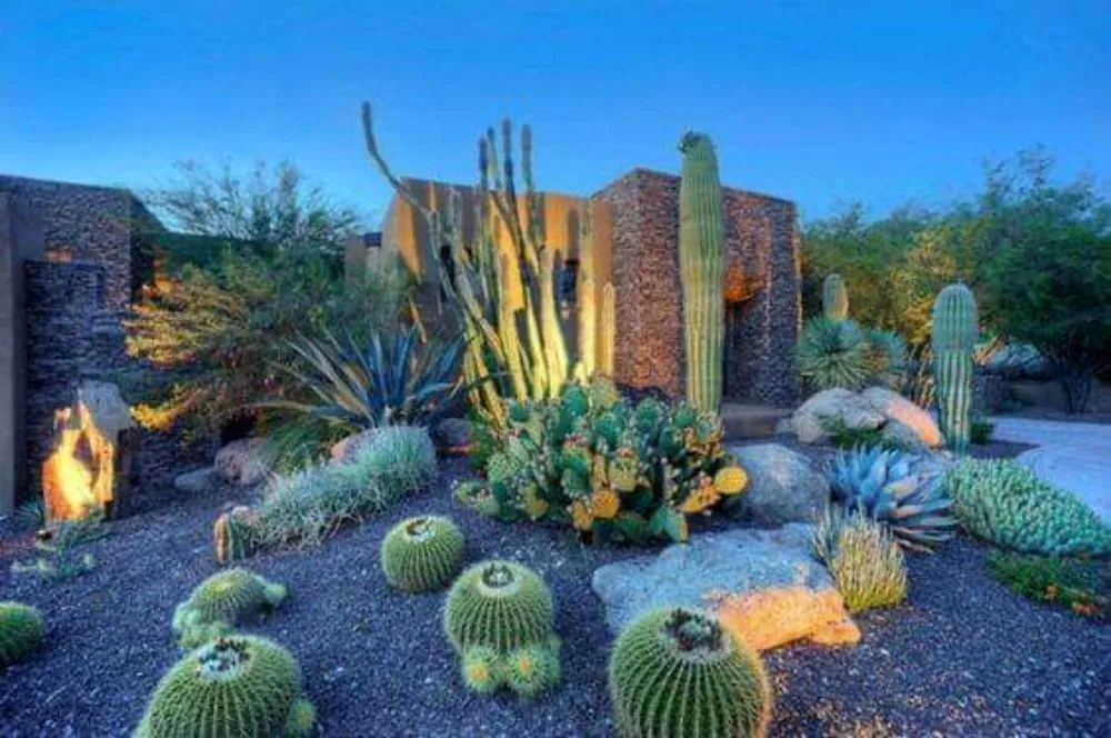 Expert yard cleanup service for year-round maintenance in Rancho Cucamonga, CA by Mc Cactus Fast Landscaping Designs