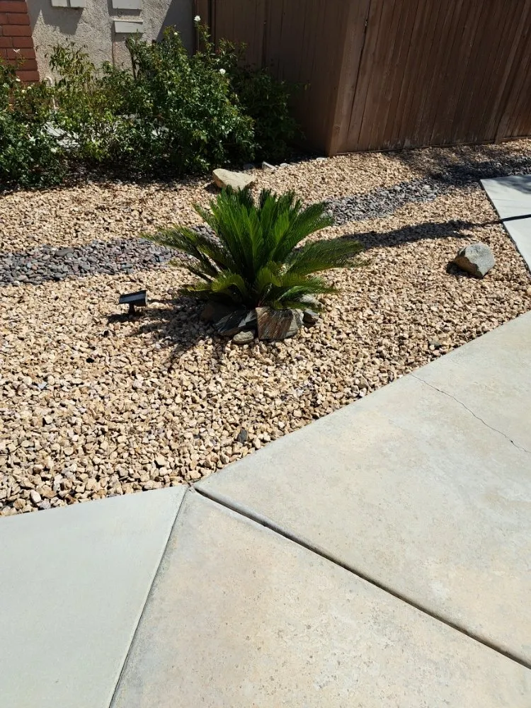 Reliable landscape design in Rancho Cucamonga, CA - Mc Cactus Fast Landscaping Designs