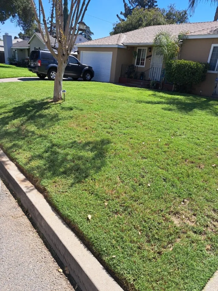 Local landscaping services in Rancho Cucamonga, CA by Mc Cactus Fast Landscaping Designs