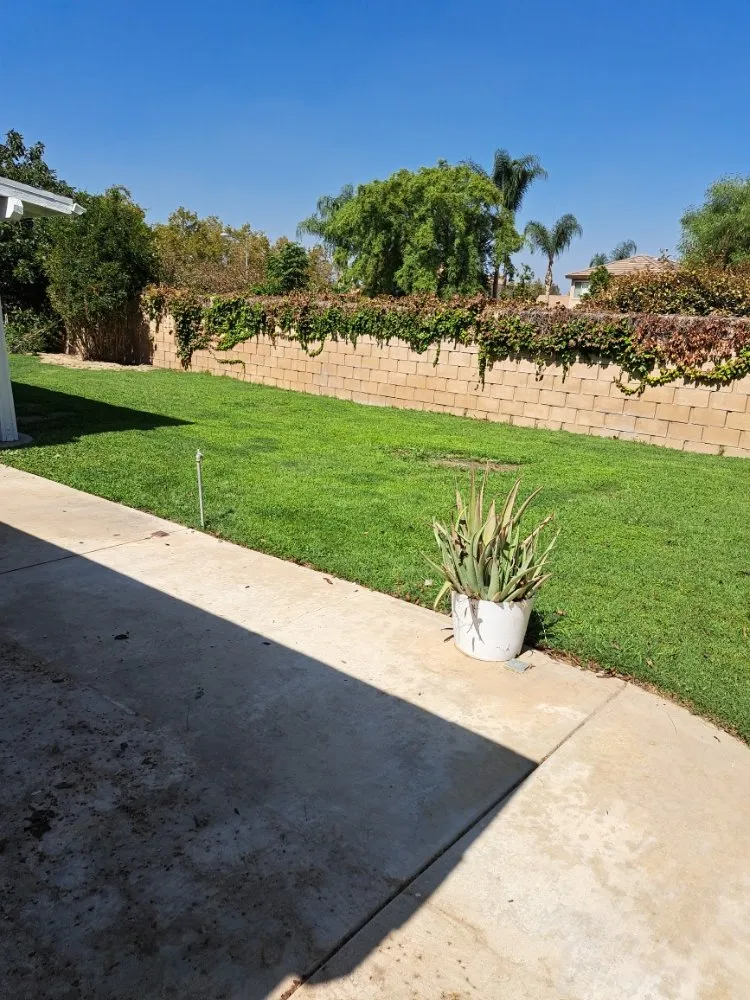 Top-rated landscape installation experts serving Rancho Cucamonga, CA - Mc Cactus Fast Landscaping Designs