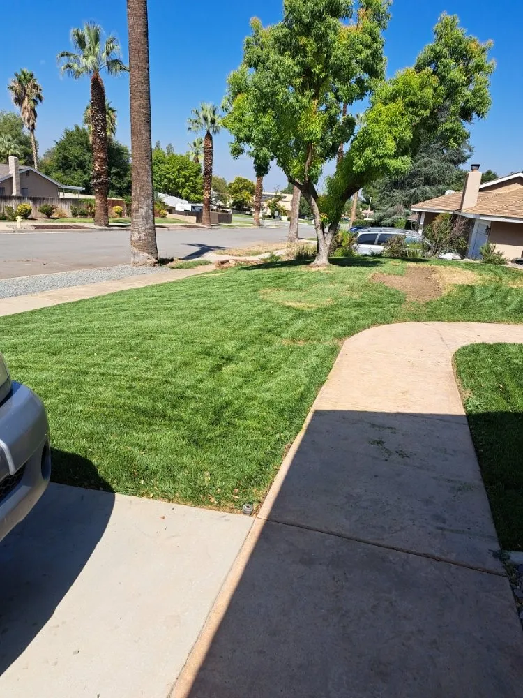 Top-rated lawn care service for beautiful yards across Rancho Cucamonga, CA - Mc Cactus Fast Landscaping Designs