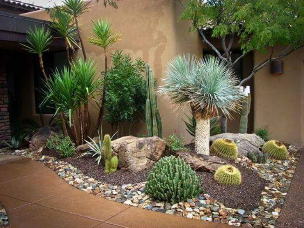 Professional landscaping services for beautiful yards across Rancho Cucamonga, CA - Mc Cactus Fast Landscaping Designs