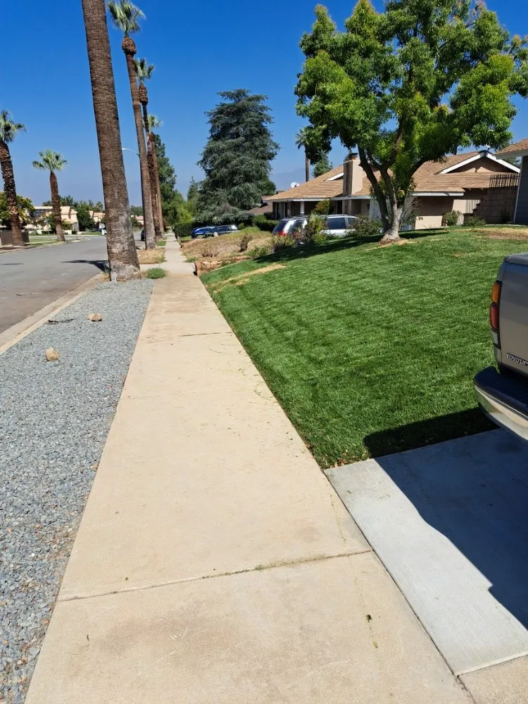 Local lawn care service experts serving Rancho Cucamonga, CA - Mc Cactus Fast Landscaping Designs