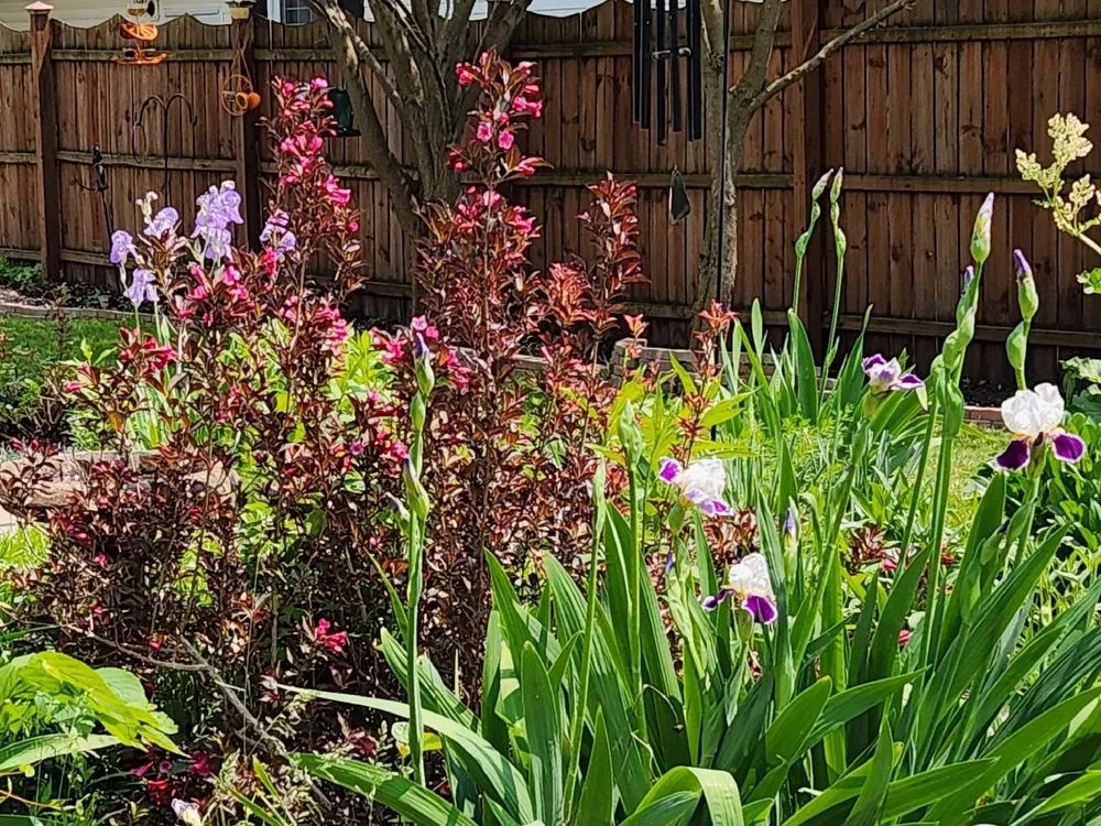 Reliable yard cleanup service experts serving Winamac, IN - MC Clover Cleaning