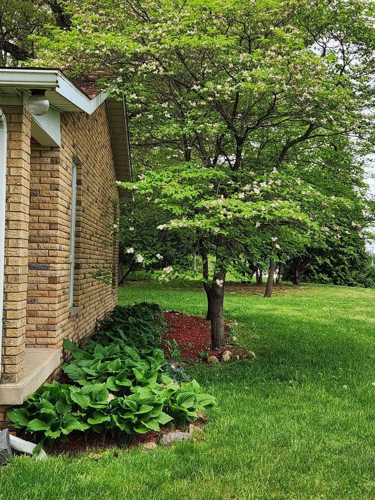 Professional lawn mowing service experts serving Winamac, IN - MC Clover Cleaning