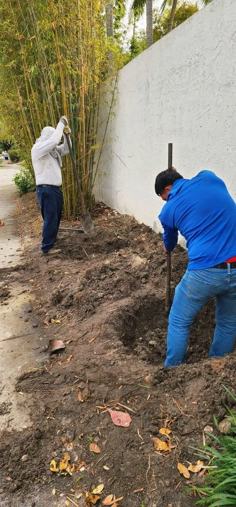 Expert yard maintenance experts serving Miami, FL - MC General Landscaping