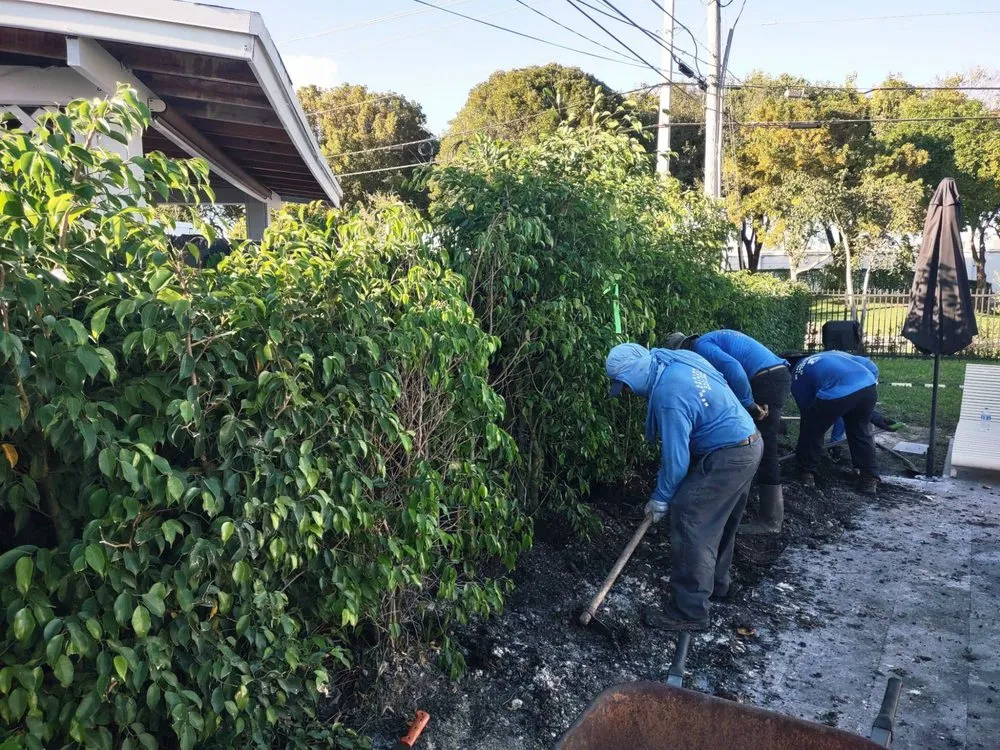 Affordable yard cleanup service experts serving Miami, FL - MC General Landscaping