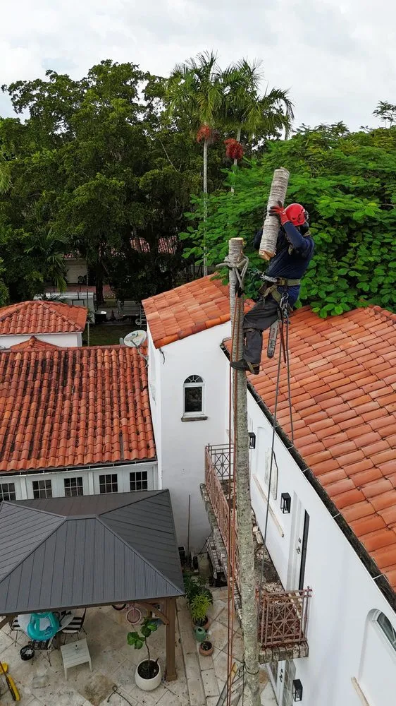 Trusted residential landscaping in Miami, FL - MC General Landscaping