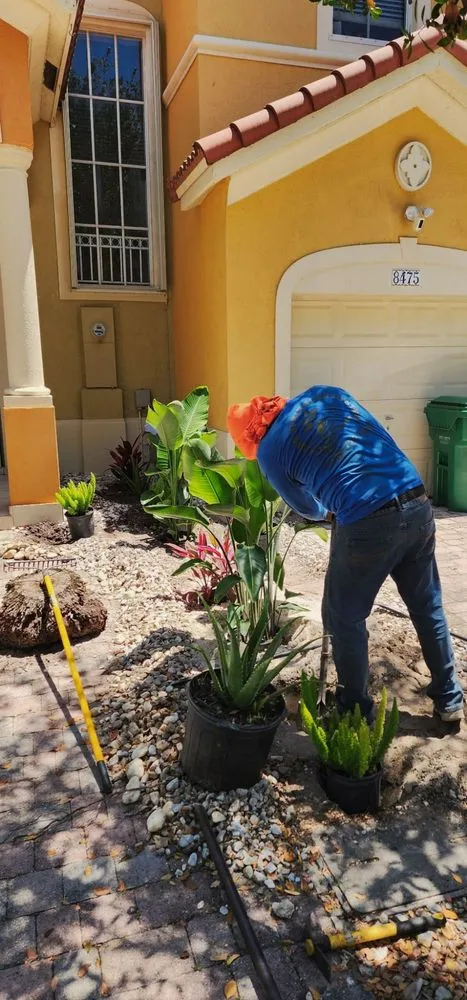 Professional lawn care service in Miami, FL - MC General Landscaping