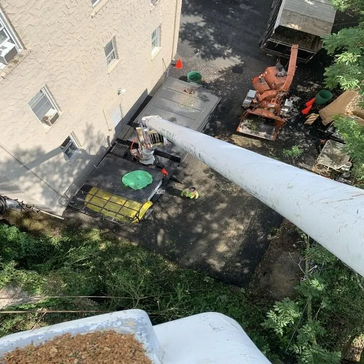 Custom yard cleanup service in Hackensack, NJ by MC Greenfield Tree & landscape Service