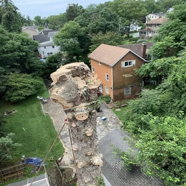 Top-rated landscape design in Hackensack, NJ - MC Greenfield Tree & landscape Service