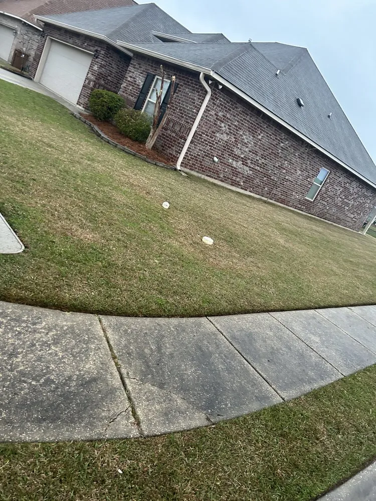 Local landscape design in Gulfport, MS - Mc Guffey Perfektion