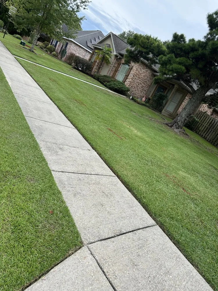 Local yard cleanup service in Gulfport, MS by Mc Guffey Perfektion