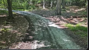 Local outdoor landscaping experts serving Chapel Hill, NC - Mc Gugan Farm Works