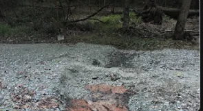 Professional yard cleanup service in Chapel Hill, NC - Mc Gugan Farm Works