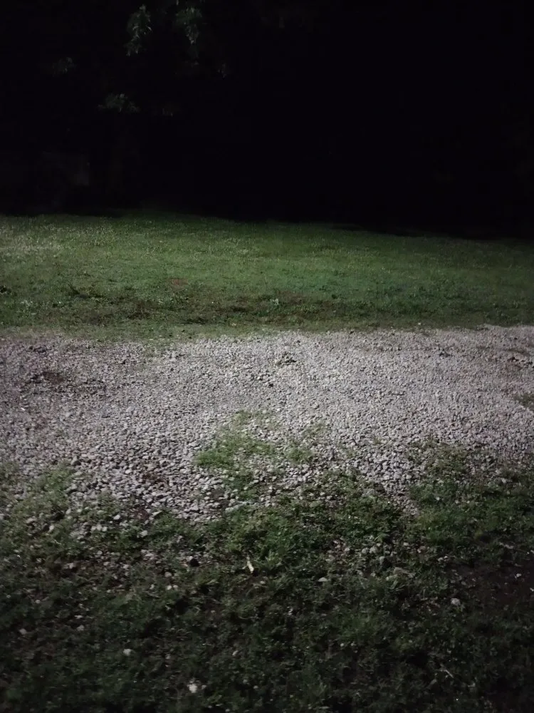 Professional yard maintenance in Paducah, KY by MC Handy Services