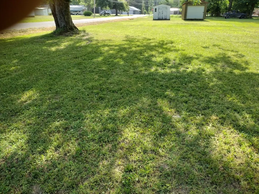 Affordable garden landscaping for beautiful yards in Paducah, KY by MC Handy Services