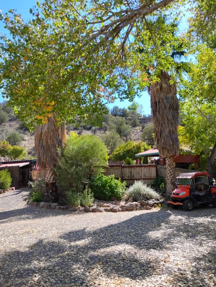 Top-rated yard maintenance in Prescott Valley, AZ - MC House Cleaning and Landscaping