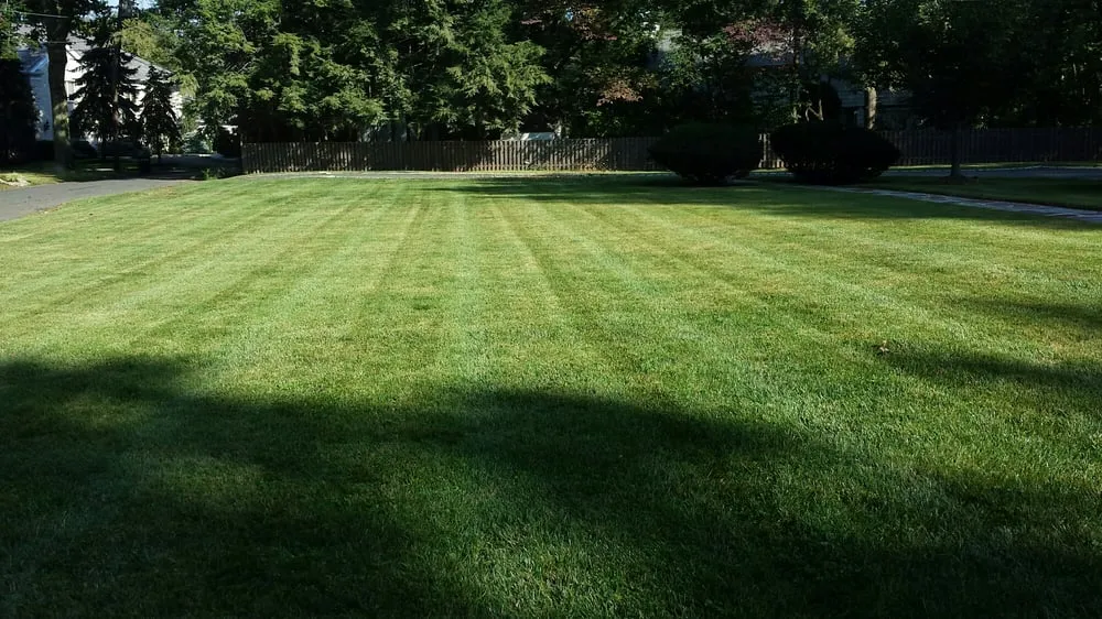 Custom outdoor landscaping experts serving Elizabeth, NJ - MC Irrigation Contractors