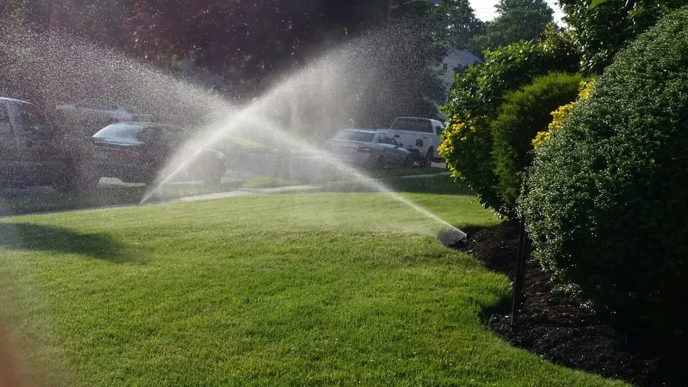 Reliable lawn care service for beautiful yards across Elizabeth, NJ - MC Irrigation Contractors