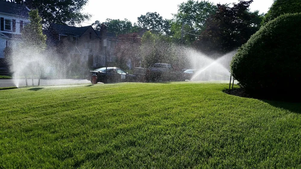 Local lawn mowing service for year-round maintenance across Elizabeth, NJ - MC Irrigation Contractors