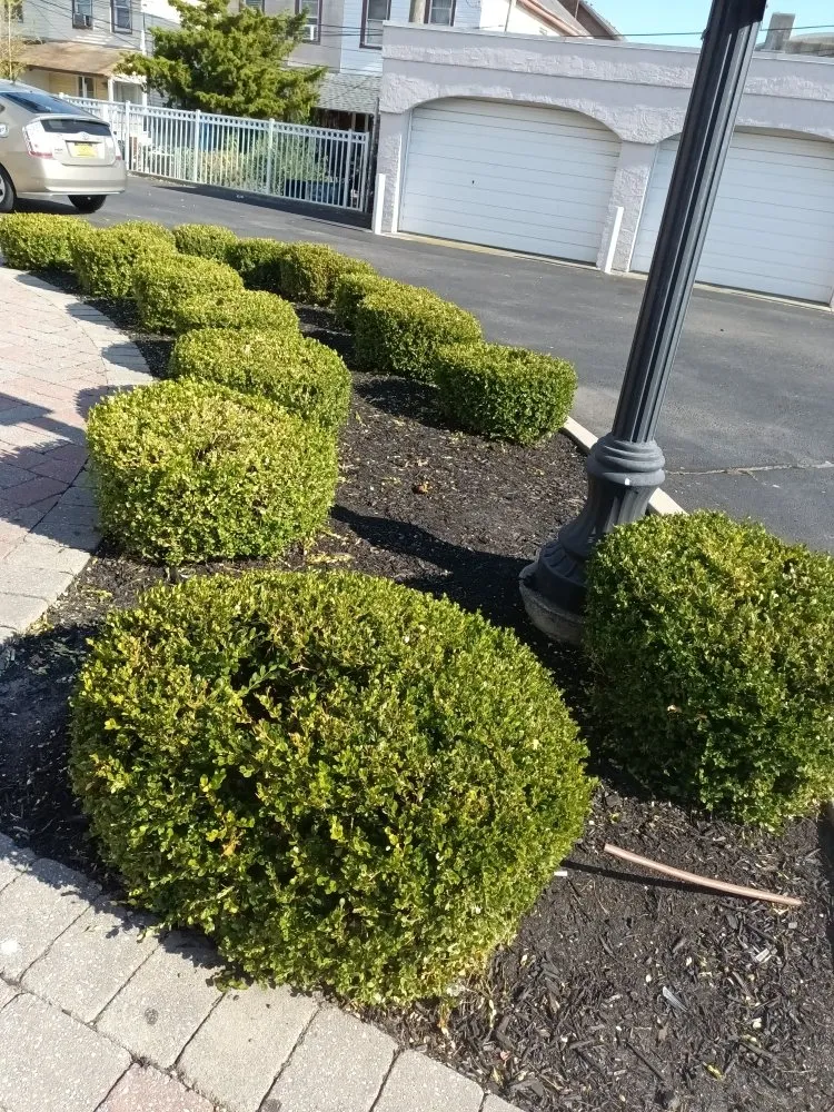 Professional lawn mowing service experts serving Atlantic City, NJ - MC Land Care