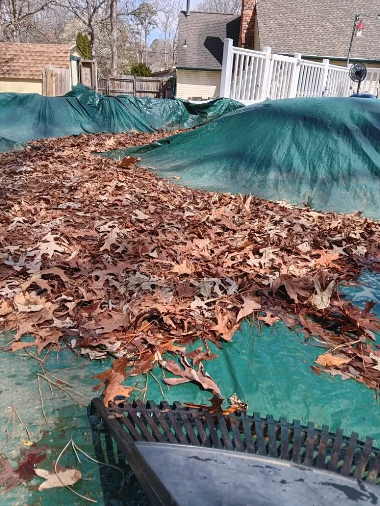 Expert lawn mowing service near you in Atlantic City, NJ by MC Land Care