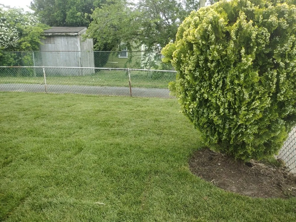 Affordable lawn care service for beautiful yards across Atlantic City, NJ - MC Land Care