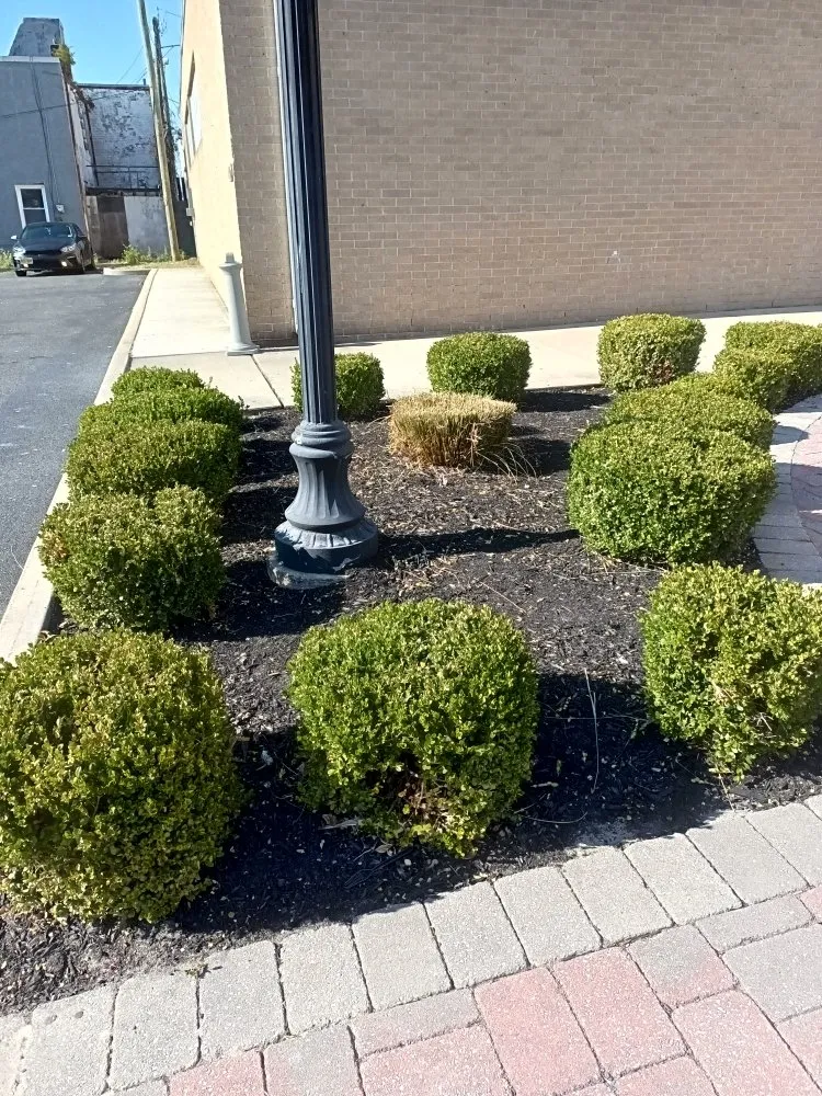 Trusted lawn mowing service in Atlantic City, NJ by MC Land Care