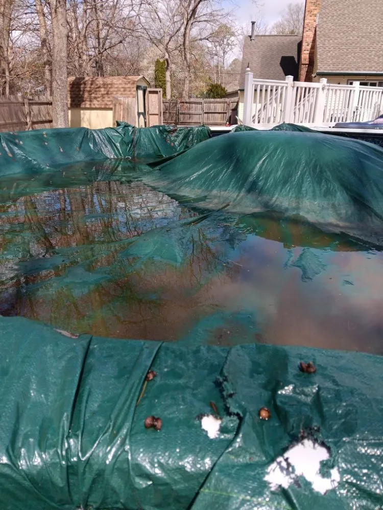 Reliable yard maintenance for outdoor upgrades in Atlantic City, NJ by MC Land Care