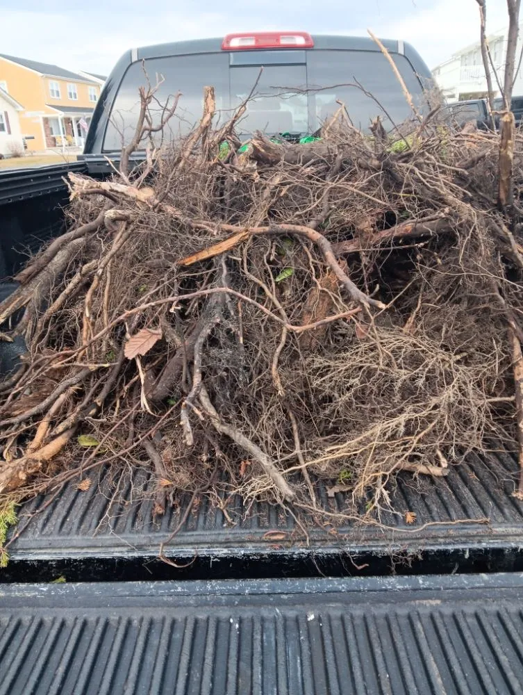 Affordable lawn care service for year-round maintenance in Atlantic City, NJ by MC Land Care