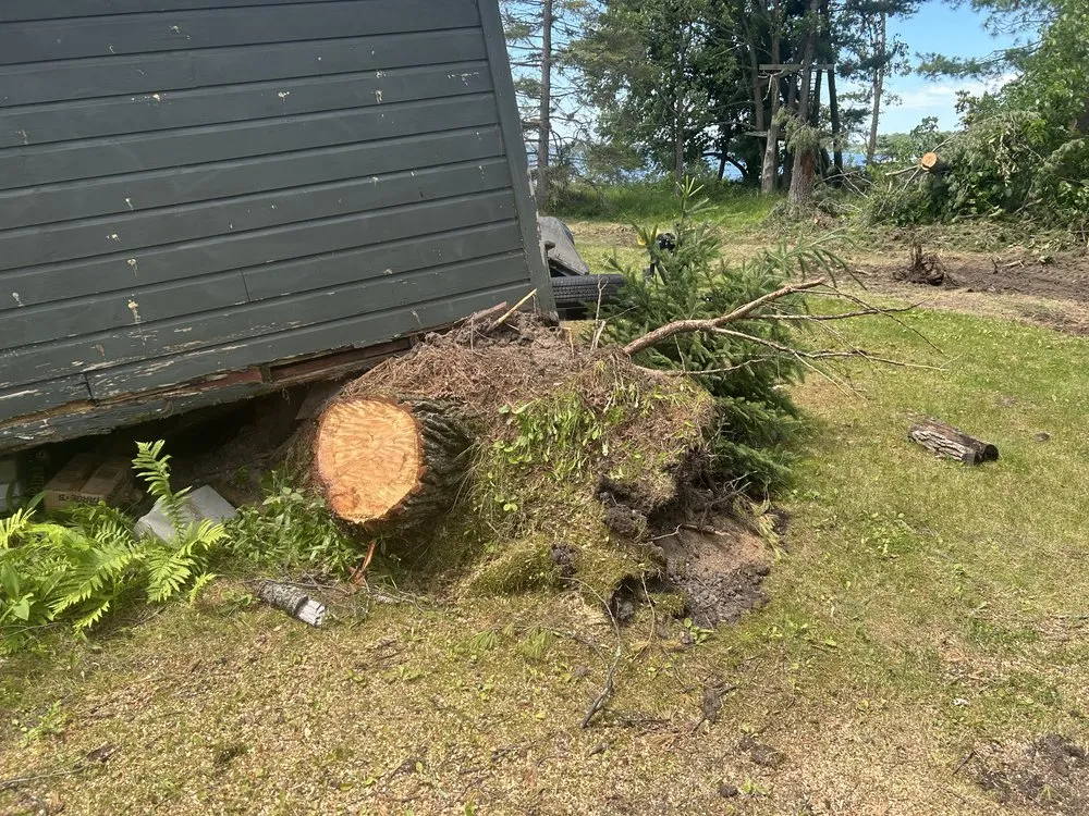 Local landscape design in Bemidji, MN - MC Land Services