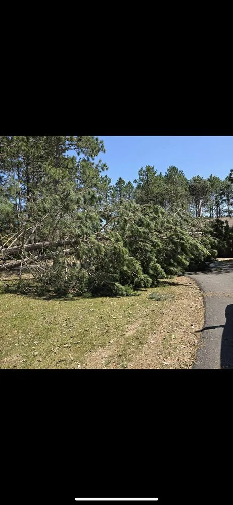 Top-rated landscape design in Bemidji, MN by MC Land Services