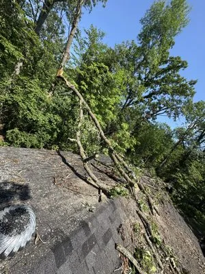 MC Land Services Logo